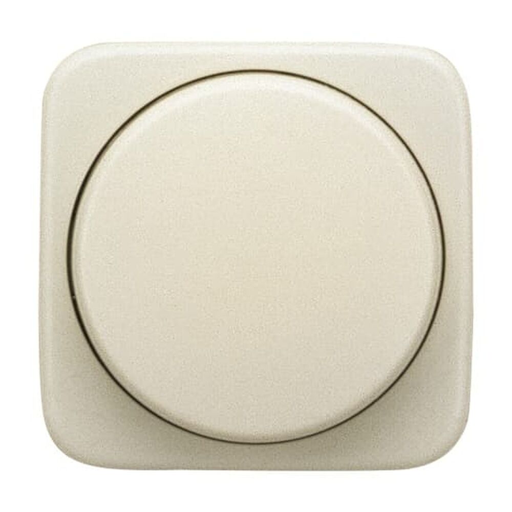 Busch-Jaeger Zentralscheibe 2115-212 Nr. 2CKA006599A1334