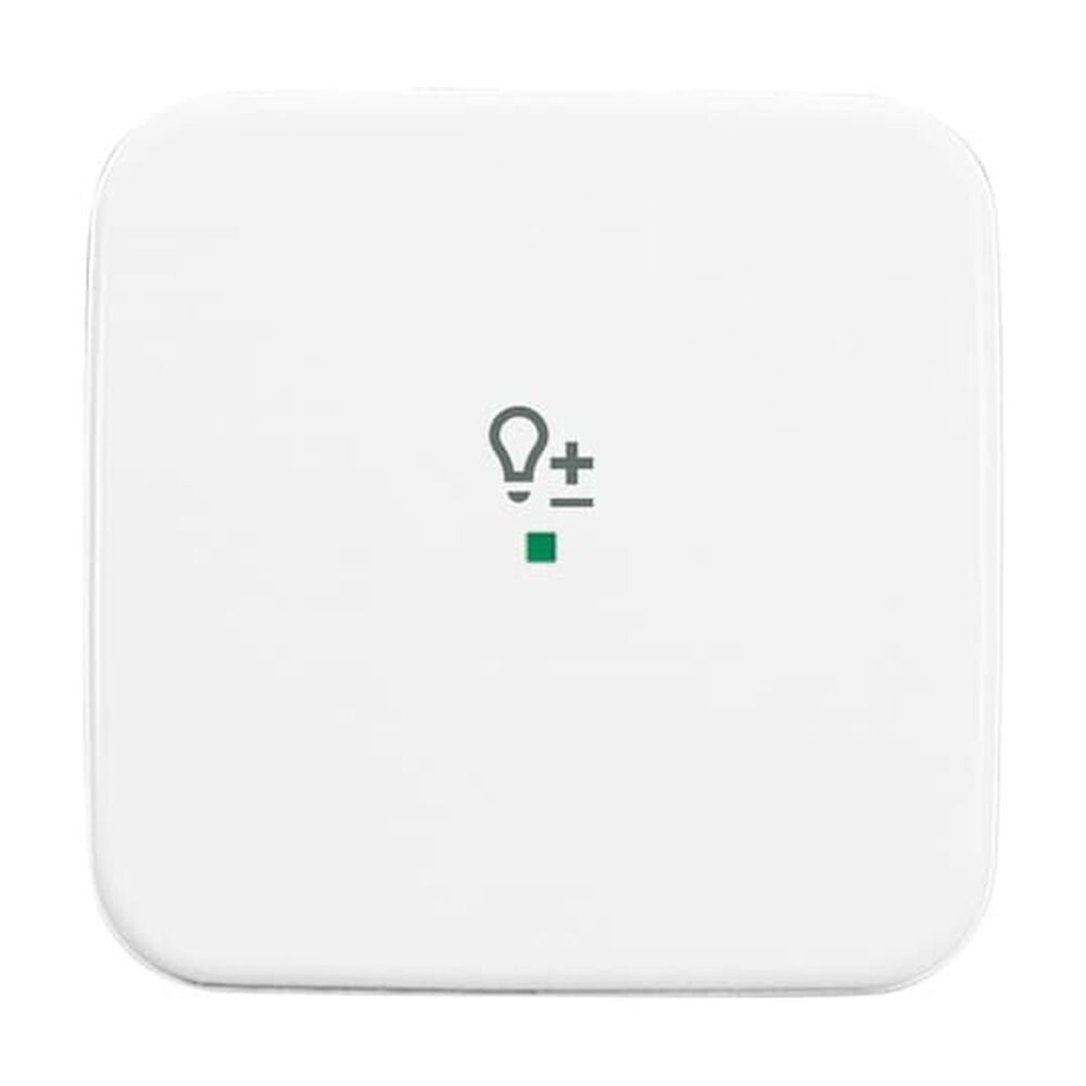 Busch-Jaeger Wippe 6234-10-214 Nr. 2CKA006220A0086