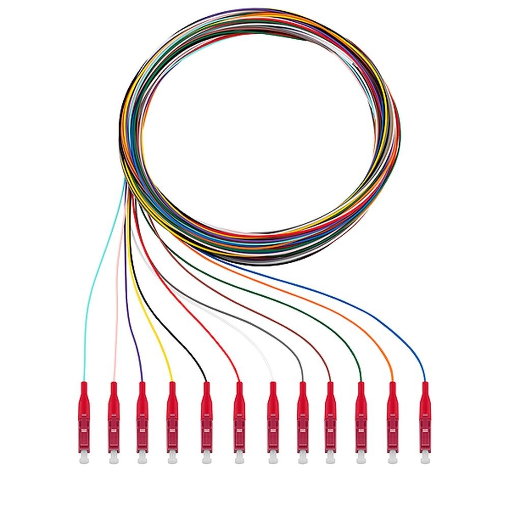 Rutenbeck Pigtail 228040102 Typ Pigtails 12xLC OM4 2m