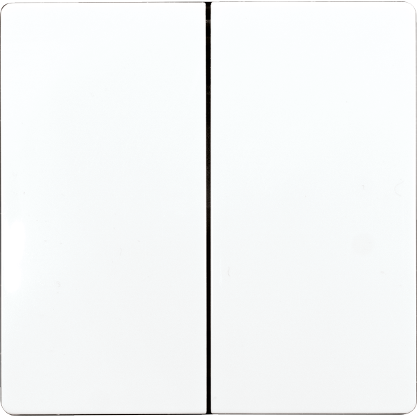 ELTAKO Doppelwippe 30055957 Typ DW-F4T55E/10-wg