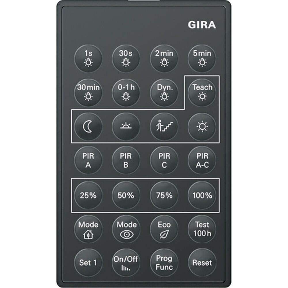 Gira IR-Fernbedienung 238200