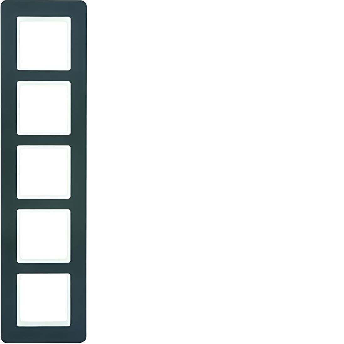 Berker 5fach Rahmen 10156186