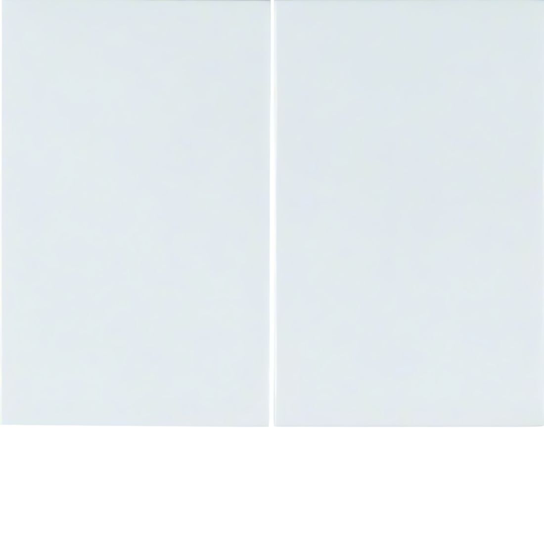 Berker Wippen 14357009