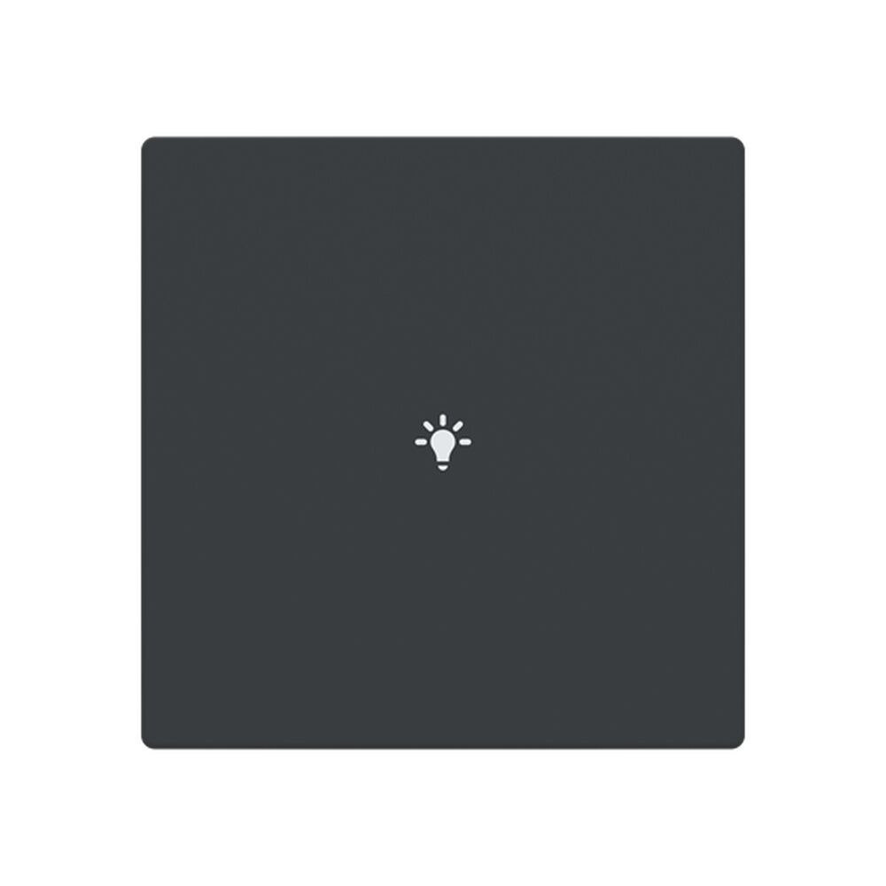 Busch-Jaeger Abdeckung LFBT/A.1.63.11-81 Typ 2CKA006199A0074 