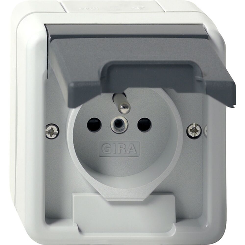 Gira Steckdose mit Erdungsstift 448530