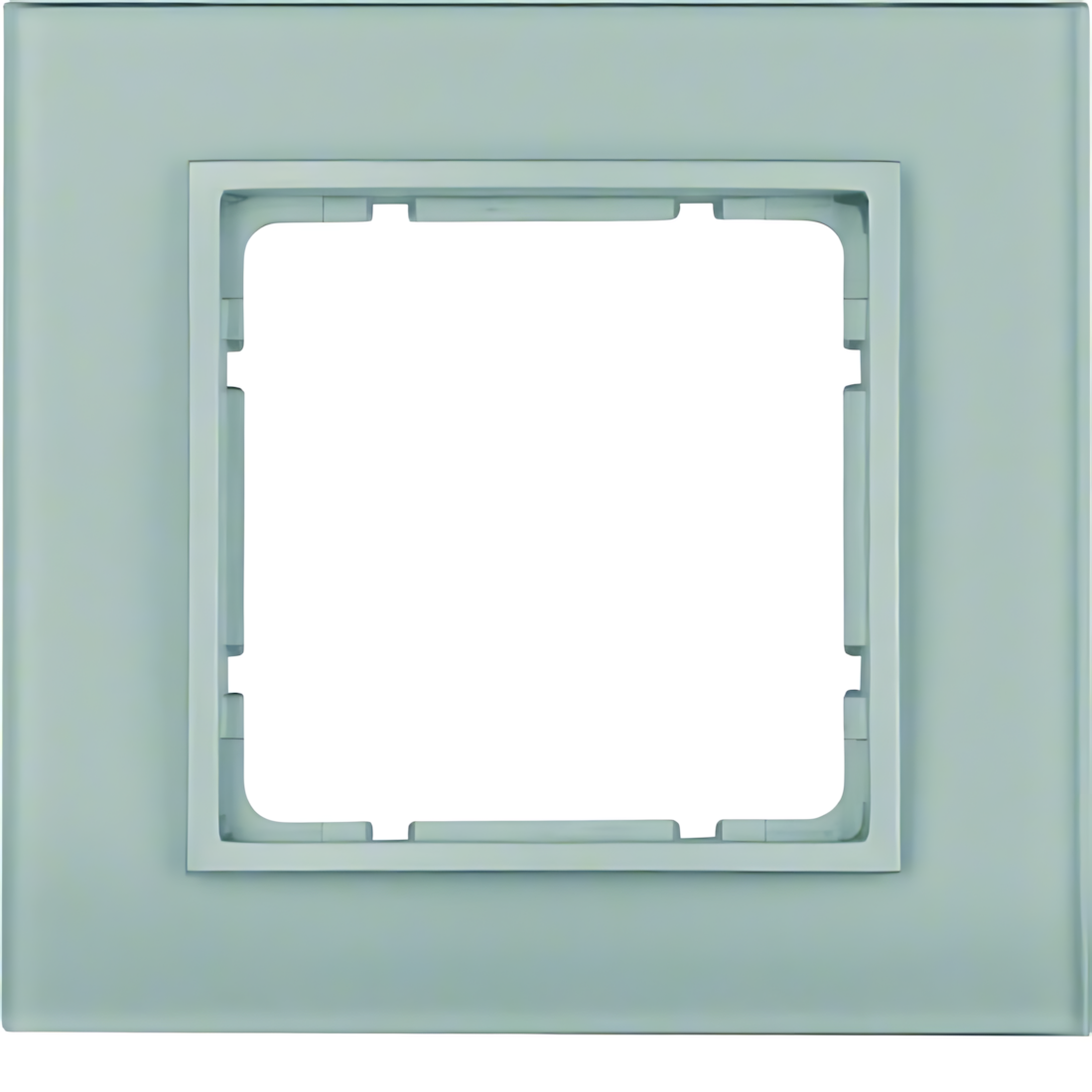Berker Glasrahmen 10116414