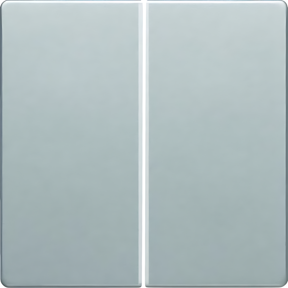 Berker Taster 85146124