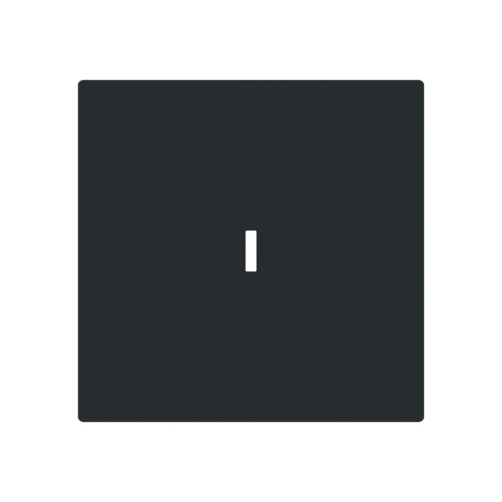 Busch-Jaeger Wippe 1789 N-45M Typ 2CKA001751A3364