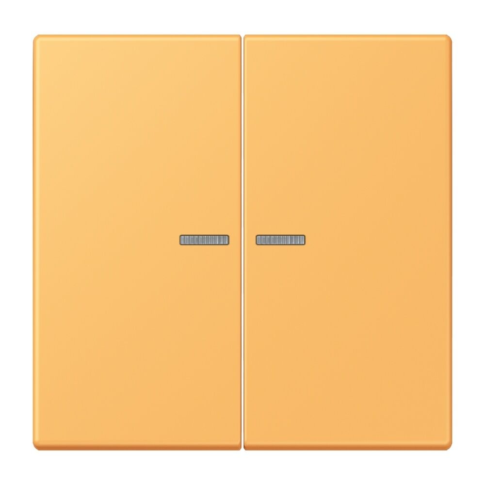 Jung JUNG HOME Taster BTLC17102254 