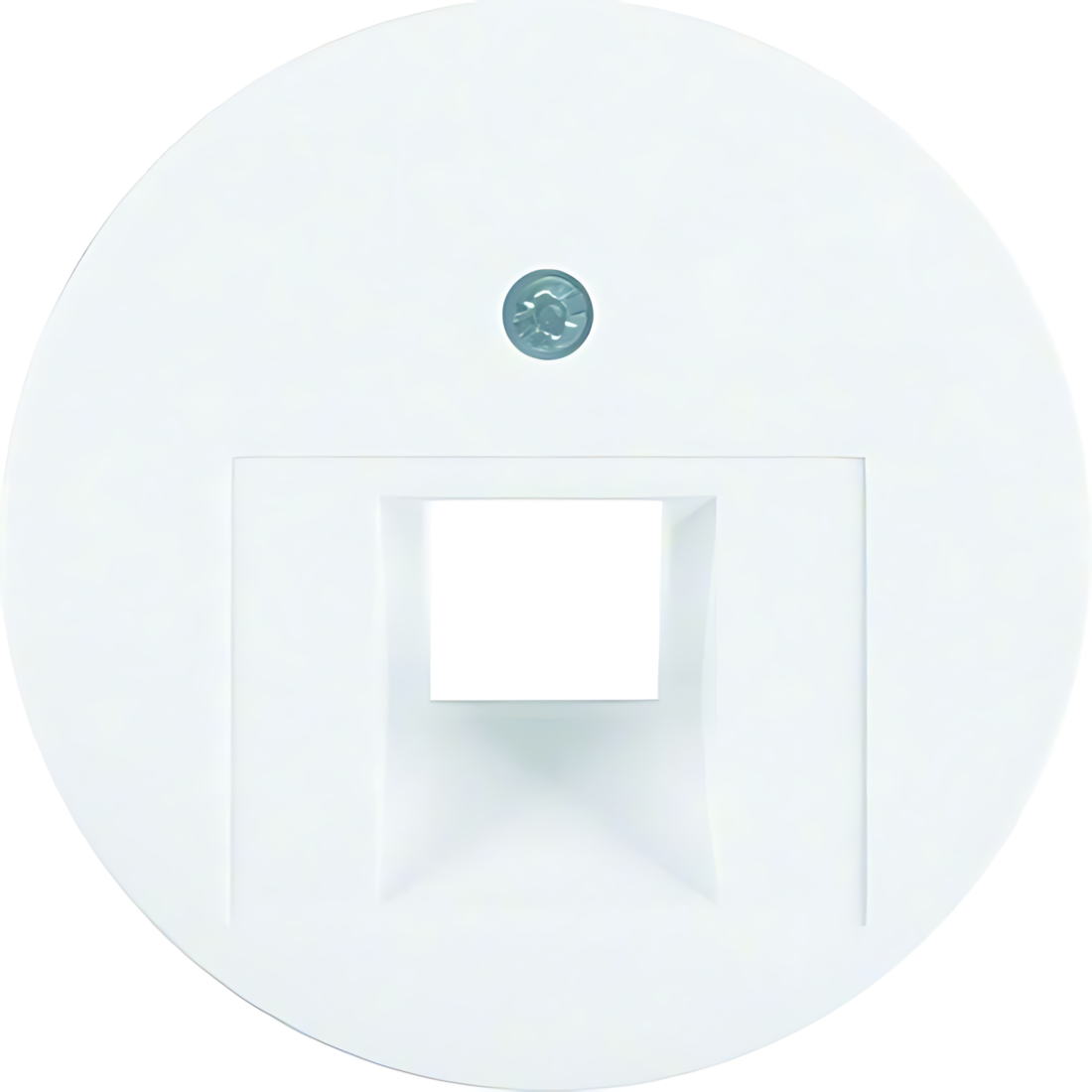 Berker Zentralstück 14072089 