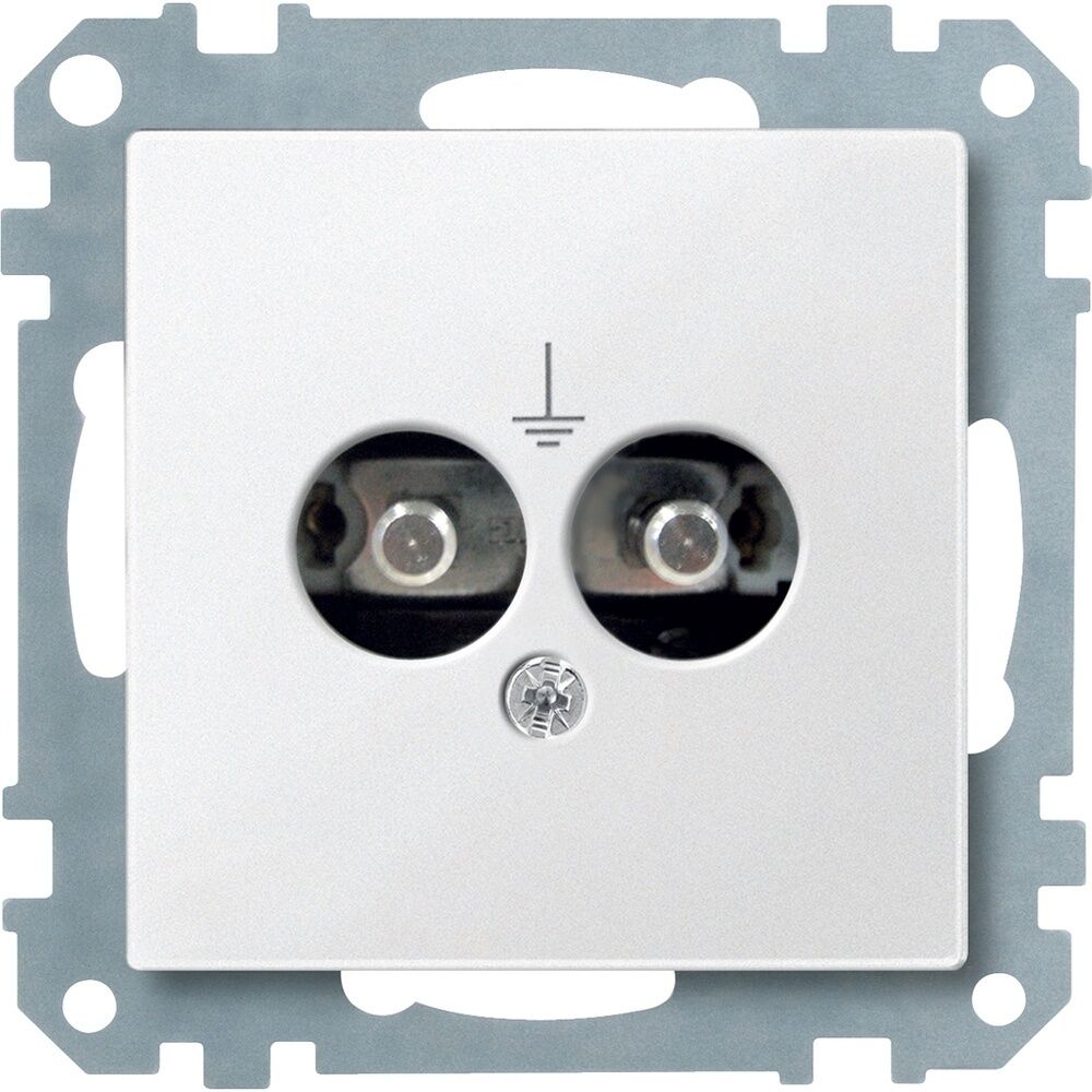 Merten Potentialausgleich Steckdose 298219