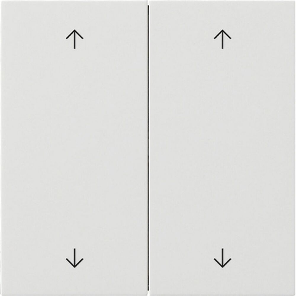 Gira Wippe 2fach 5387112