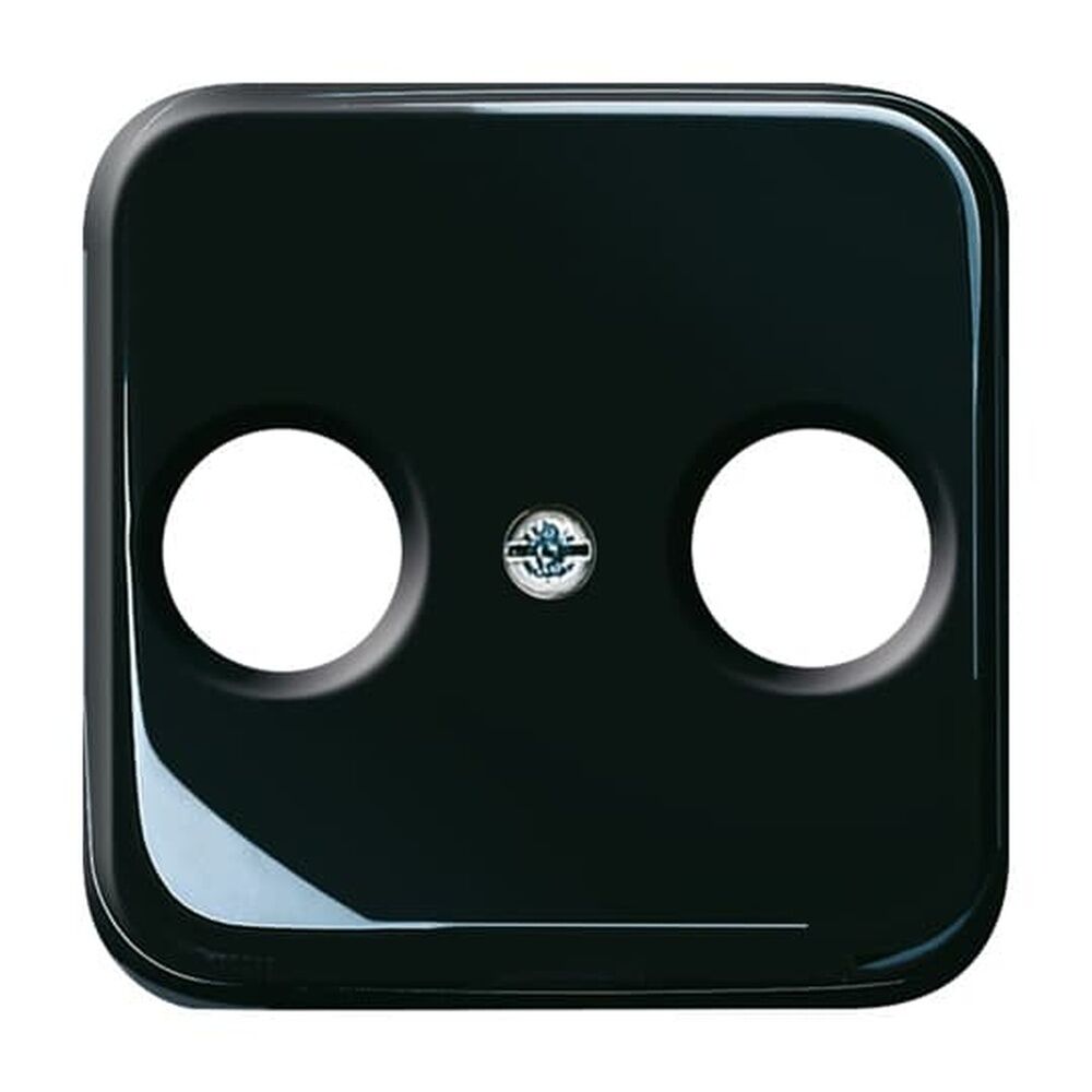 Busch-Jaeger Zentralscheibe 2531-215 Nr. 2CKA001724A1200 