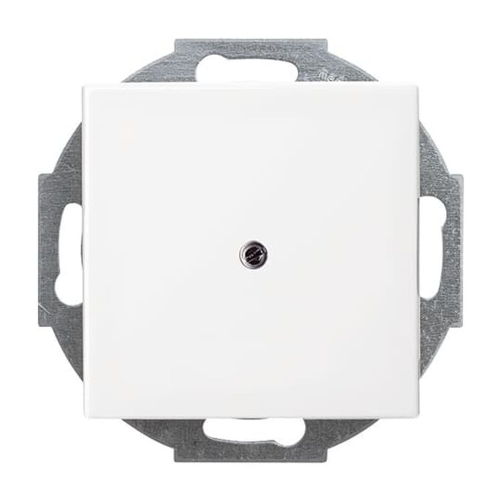 Busch-Jaeger Zentralscheibe 2527-914 Nr. 2CKA001710A4061