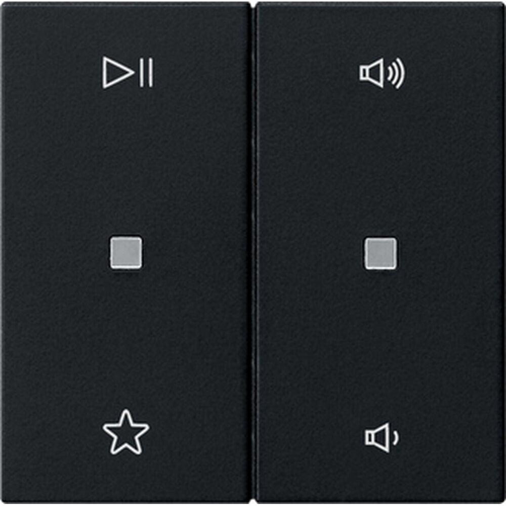 Gira Wippe 2fach 5384005