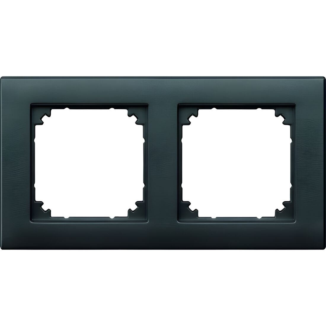 Merten Rahmen 2fach 488214