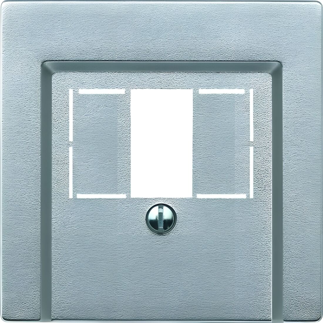 Merten Zentralplatte 297960