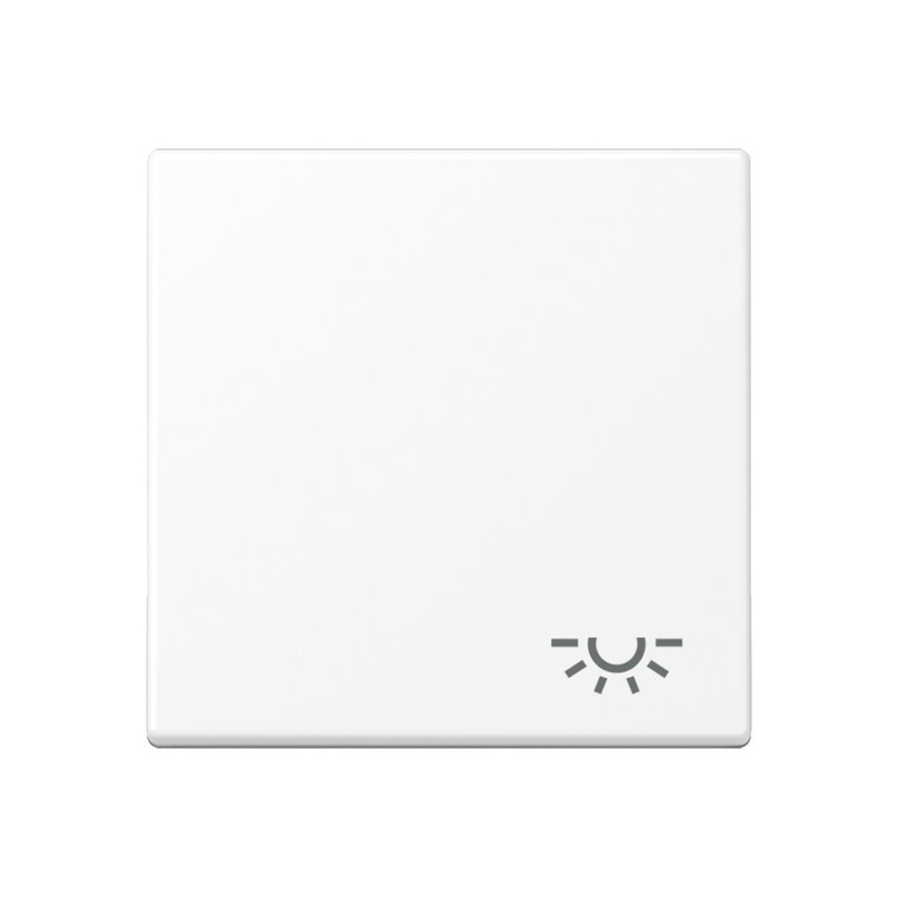 Jung Wippe 1fach A590LWWM