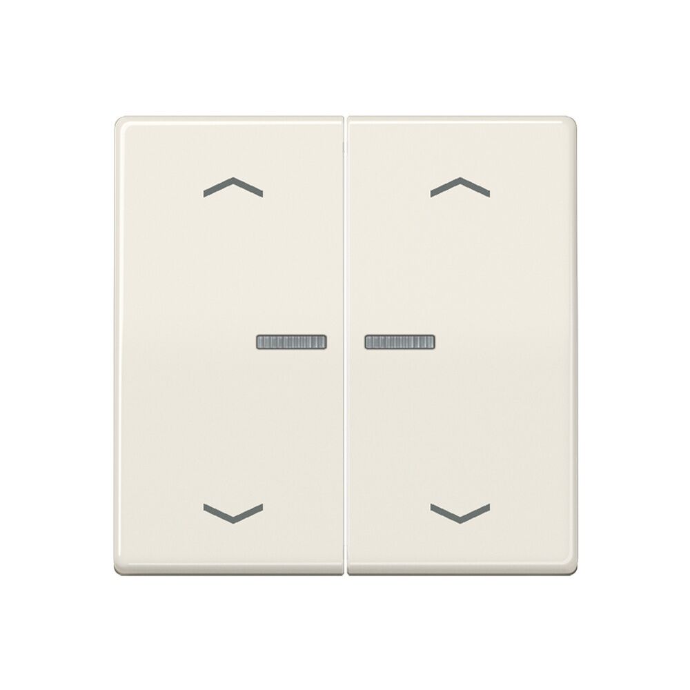 Jung JUNG HOME Taster BTAS17102P