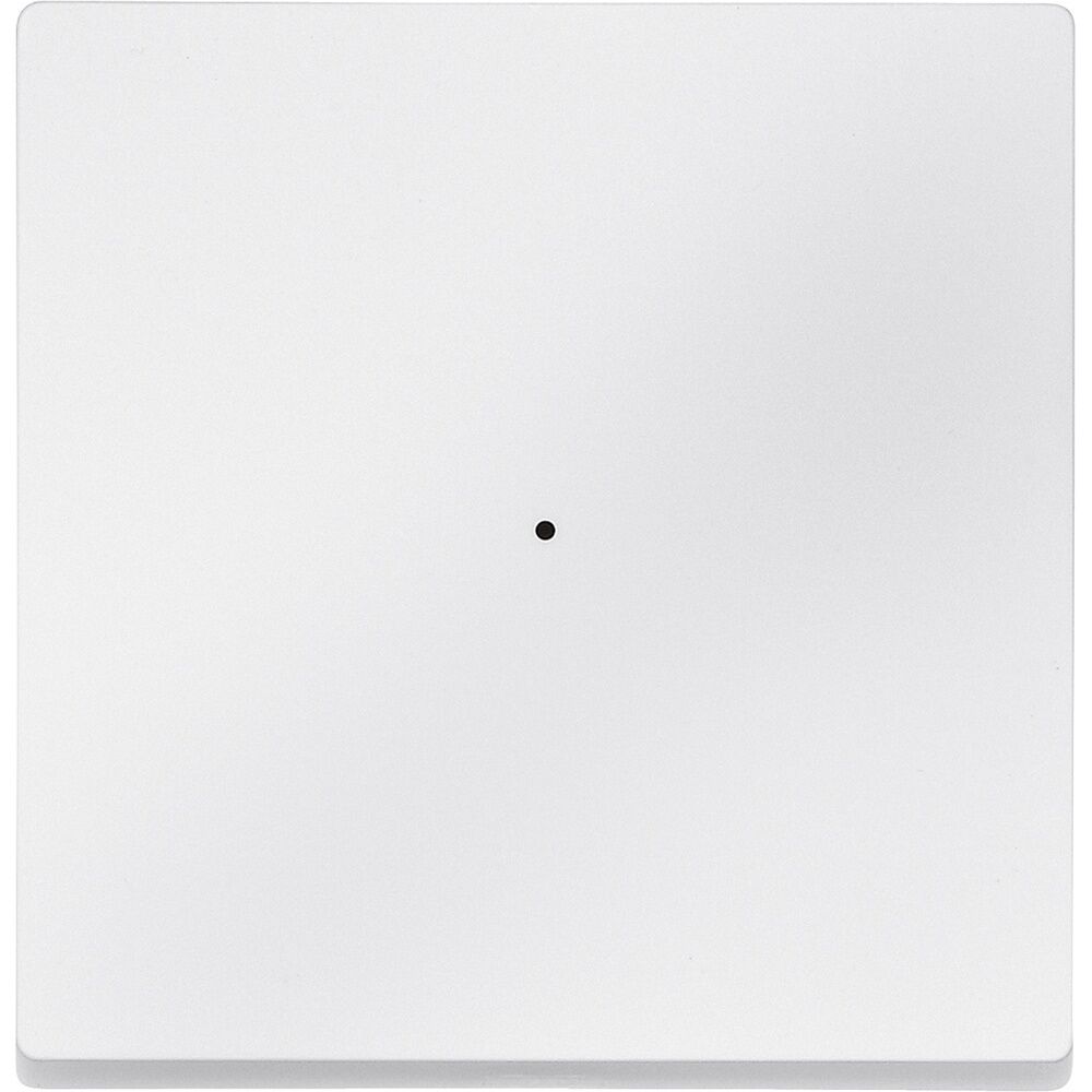 Merten Wippe MEG5210-0419