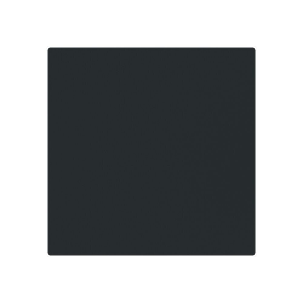 Busch-Jaeger Zentralscheibe 1746-45M Typ 2CKA001753A9920