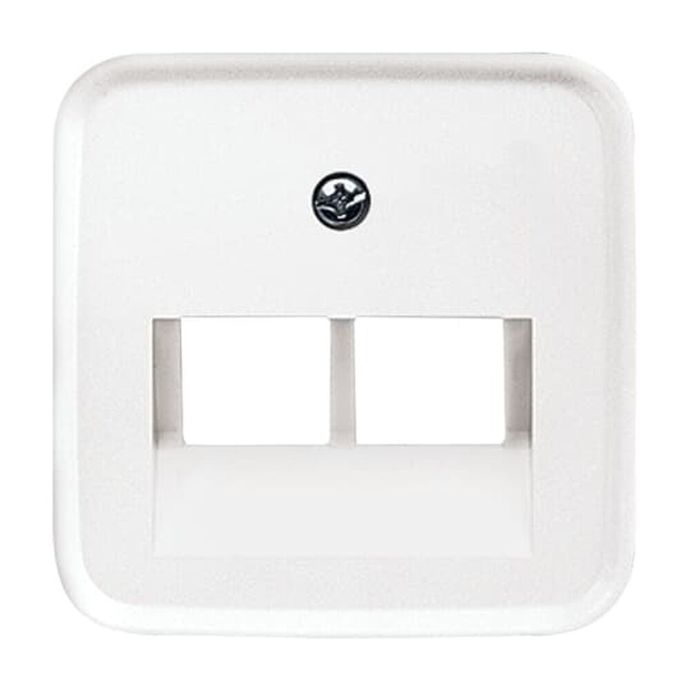 Busch-Jaeger Zentralscheibe 1803-02-214 Nr. 2CKA001753A8402 