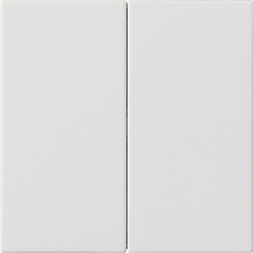 Gira Wippe 2fach 537027