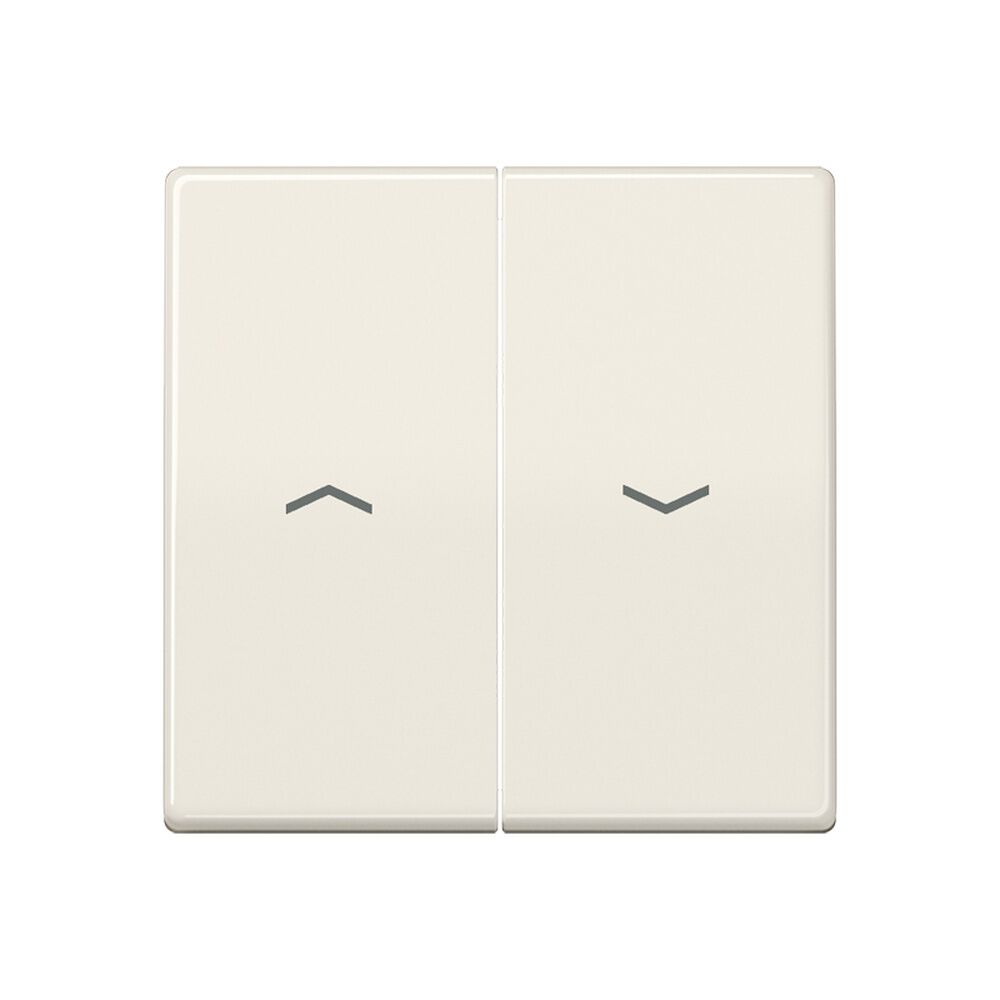 Jung Wippe AS 591-5 P BF