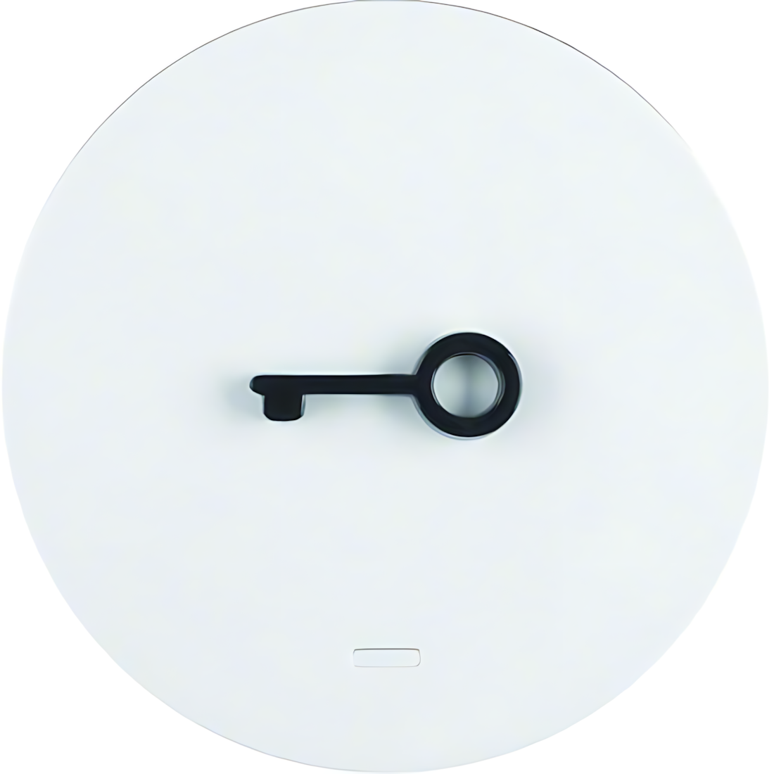 Berker Wippe 16512069 