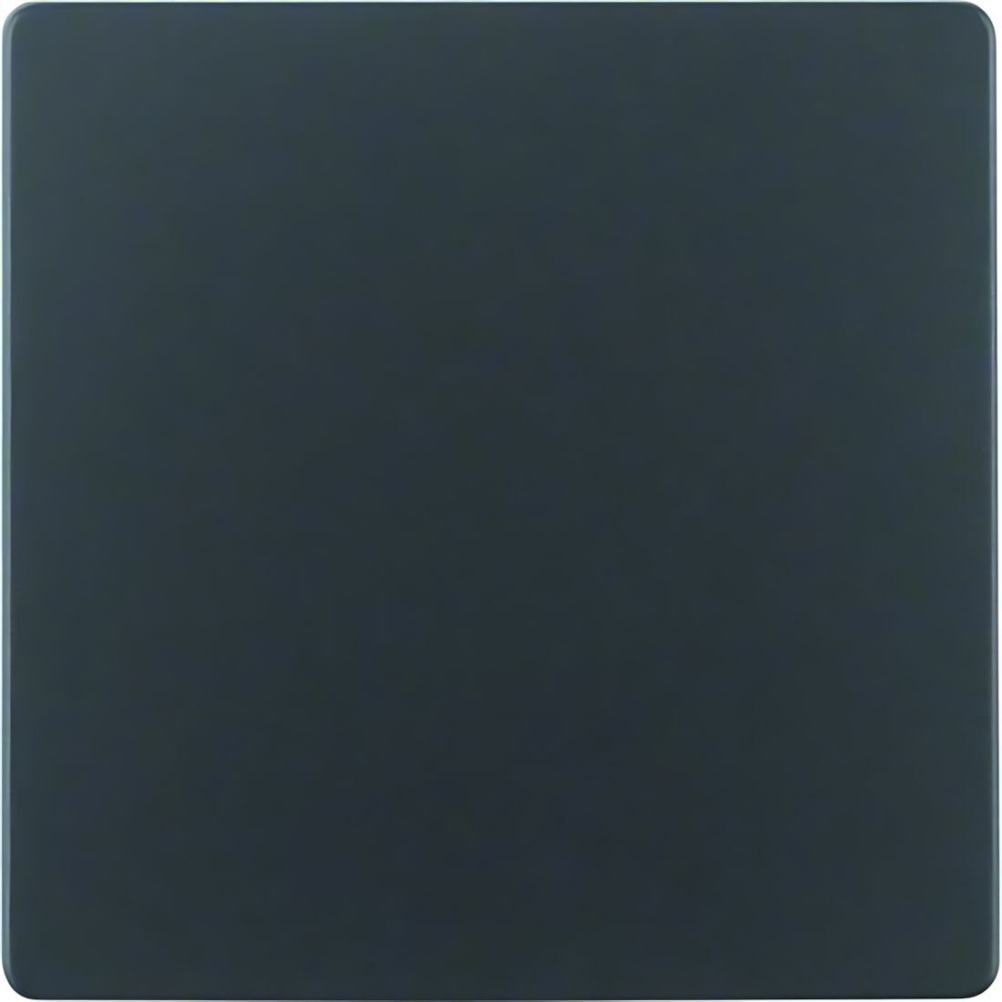 Berker Zentralplatte 75940485