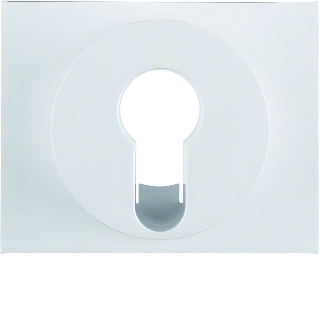 Berker Zentralstück 15057009