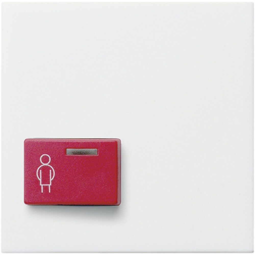 Gira Abdeckung Ackermann 022927