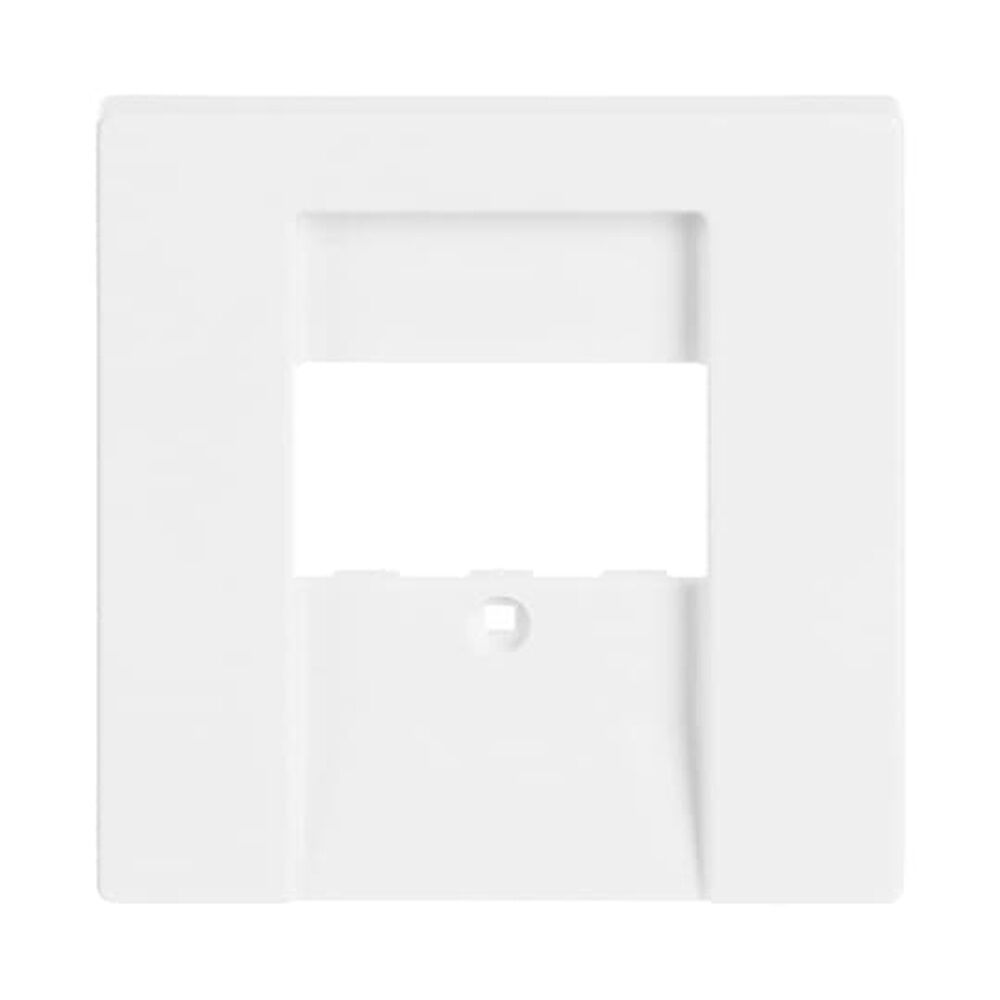 Busch-Jaeger Zentralscheibe 1766-84 Nr. 2CKA001710A3162