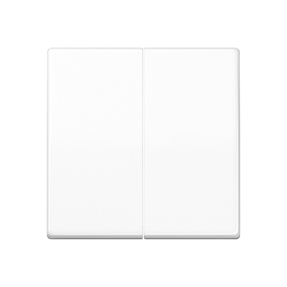 Jung Wippe 2fach SPAS591-5WW