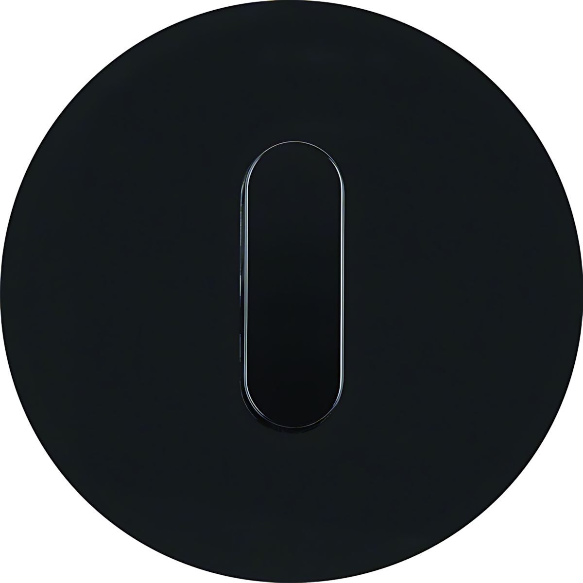 Berker Abdeckplatte 1001205500