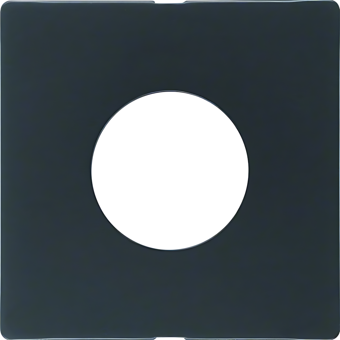 Berker Zentralstück 11246086 