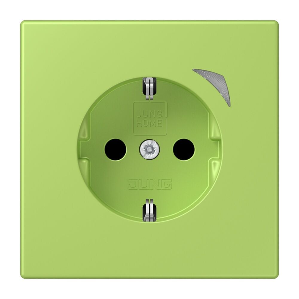 Jung JUNG HOME SCHUKO Steckdose BTLC1521SE221 