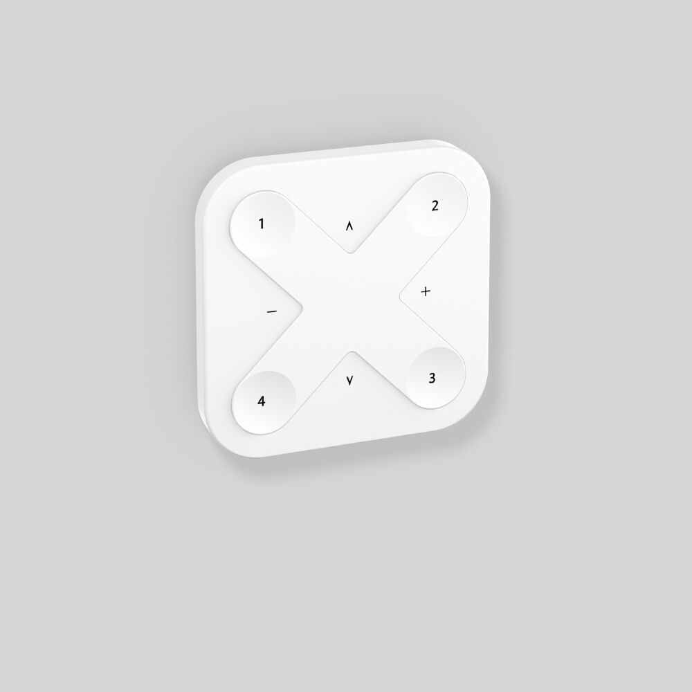 RZB Funktaster smart+free 982620.002